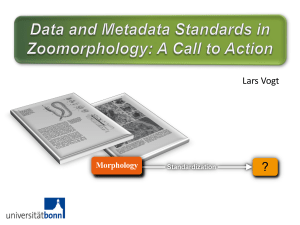 Data and metadata standards in zoomorphology: a call to action