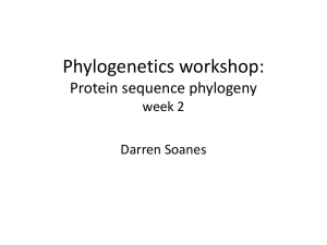 Phylogenetics workshop 2