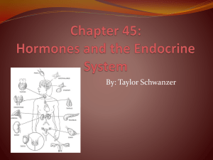 Chapter 45 - sharpesystems2012