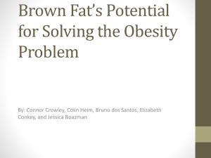 Brown Fat`s Potential for Solving the Obesity Problem