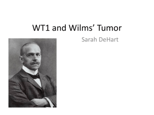 WT1 and Wilms* Tumor
