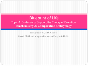 4.4.1 Evidence to support the theory of evolution