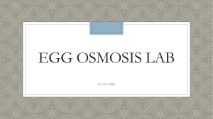 egg osmosis lab