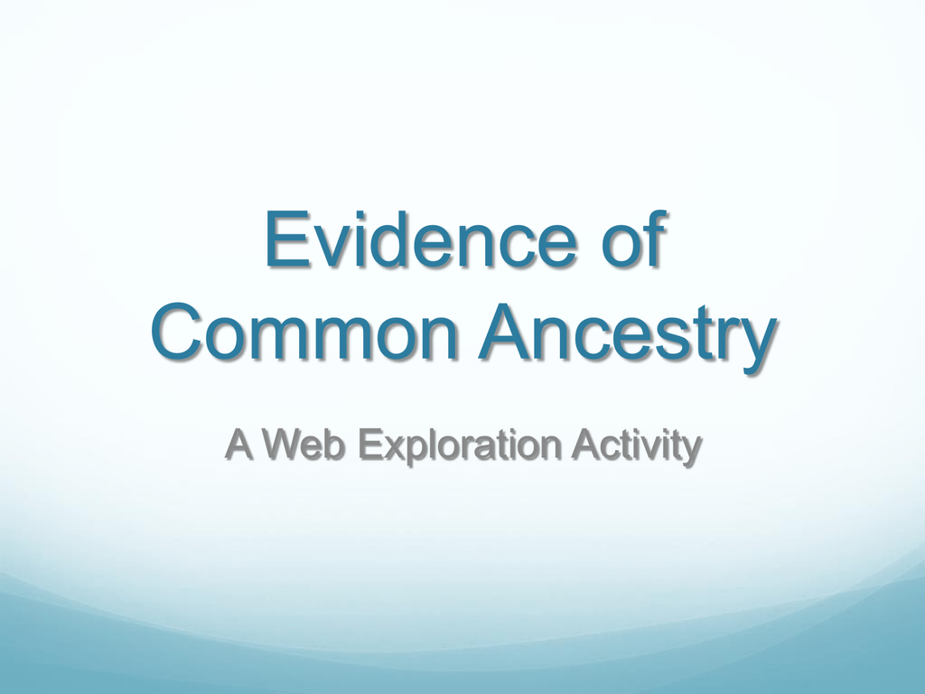 Evidence Of Common Ancestry