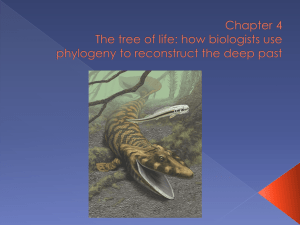 Chapter 4 Phylogenetics (in class version)
