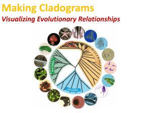 Steps to Building a Cladogram