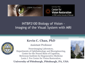 Evaluation of the Visual System in a Rat Model of