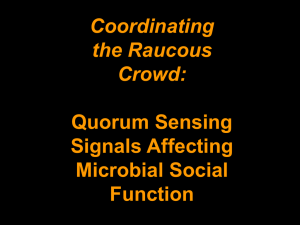 Quorum Sensing – Slides