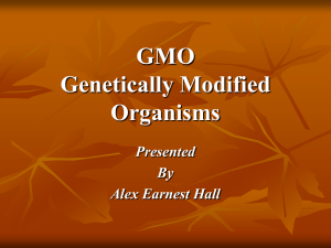 GMO Genetically Modified Organisms