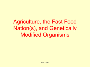 Agriculture and the Fast Food Nation(s)