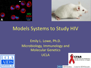 Model Systems to Study HIV