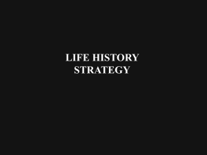 Life History Strategy