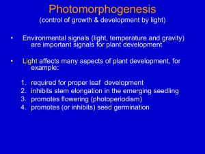 Photomorphogenesis 1