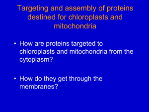 Targeting and Assembly of proteins Destined for Chloroplasts and