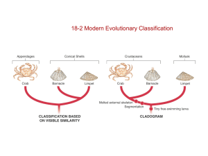 Evolutionary Classification - Mrs. Danielle Smith`s Science Website!