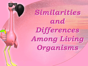 Similarities and Differences Among Living Organisms