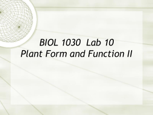 BIOL1030lab10_review