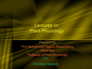 Basic Principle in Plant Physiology