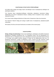 research group on insect vectors of plant pathogen