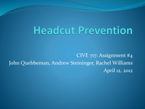Headcut Prevention