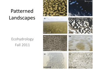 Lecture 4 - Patterned Landscapes