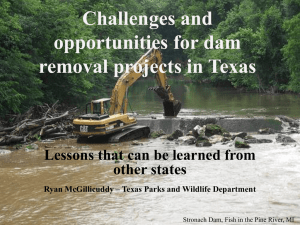 McGillicuddy`s presentation - Southwest Stream Restoration