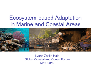 Ecosystem-based Adaptation in Marine and Coastal areas