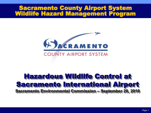 Sacramento International Airport Master Plan