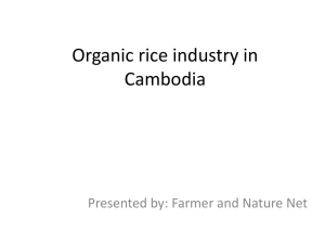 Organic-Rice-Industry-in-Cambodia-by