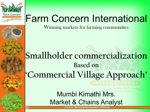 smallholder commercialization