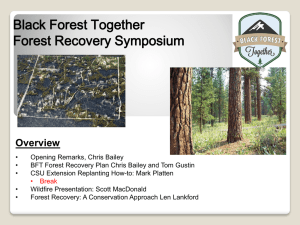 Black Forest Together Forest Recovery Symposium