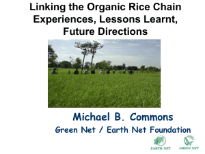 Linking the Organic Rice Chain Experiences