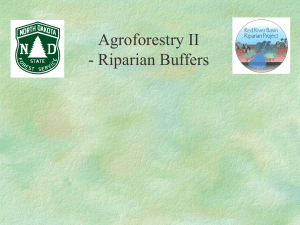 Agroforestry II - Riparian Buffers