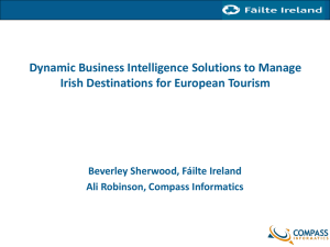 Dynamic Business Intelligence Solutions to Manage Irish