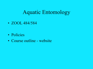 Aquatic Entomology
