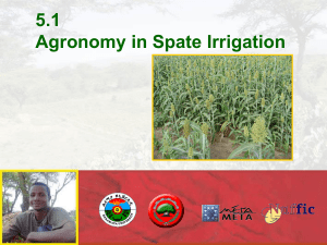5.1 Agronomy in Spate Irrigation