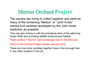 Merton Orchard Project