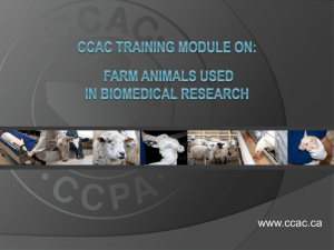 Farm Animals in Biomedical Research