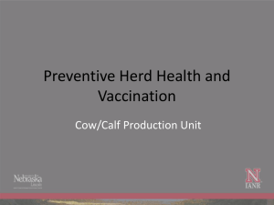 Preventive Herd Health and Vaccination