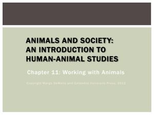 Animals and Society: An Introduction to Human
