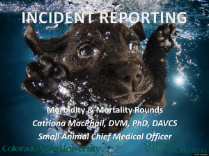VTH Incident Reporting Guidelines