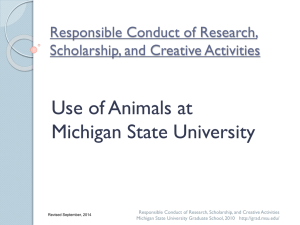 Use of Animals at MSU - PowerPoint Presentation