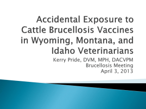 Accidental Exposure to Cattle Brucellosis Vaccines in Wyoming