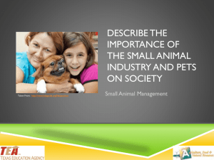 01B Importance of Small Animals PPT