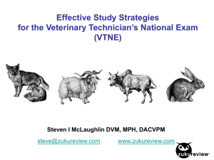 VTNE Study Strategies presentation
