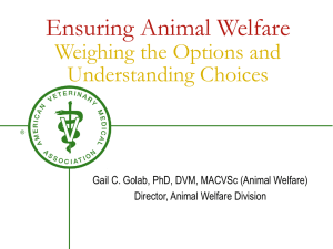 Principles of Working in Animal Welfare and the Profession`s