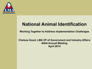 Update on Livestock Markets and Animal Identification