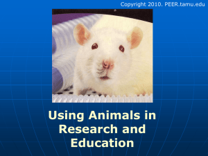 Use of Animals in Research and Education