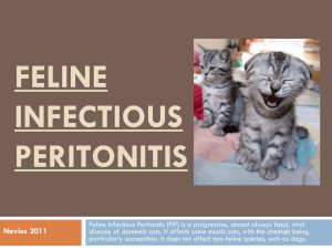 Feline infectious peritonitis - Dr. Brahmbhatt`s Class Handouts