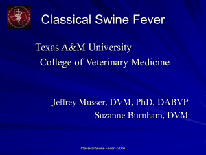 Classical Swine Fever - College of Veterinary Medicine